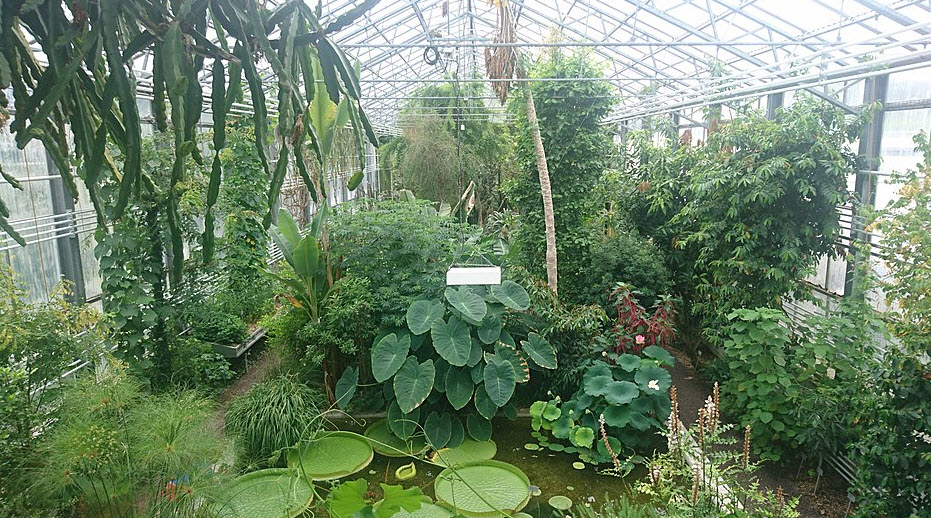 Botanic Garden St. Gallen, St. Gallen, Switzerland, Switzerland